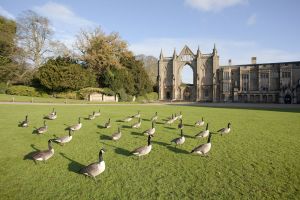 newstead abbey image 32 sm.jpg